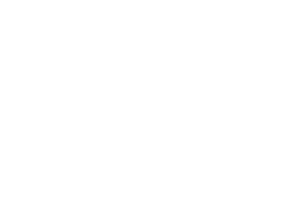 LA Festival of Cinema
